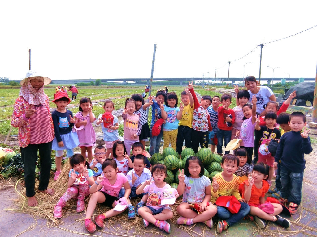 麥寮鄉立幼兒園-幼兒體驗採西瓜的樂趣